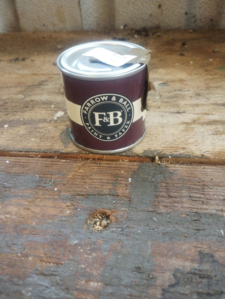 Farrow and Ball Sampler